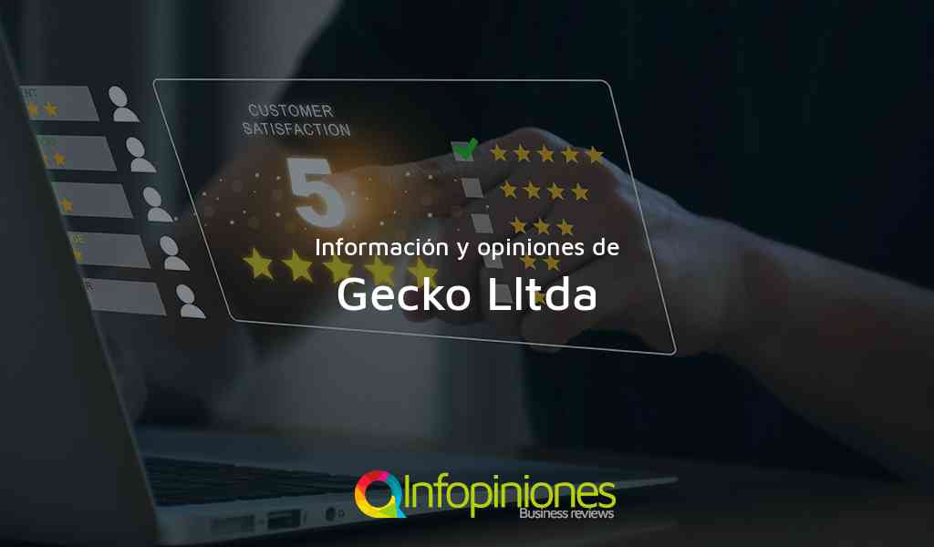Información y opiniones sobre Gecko Lltda de Bogotá, D.C.